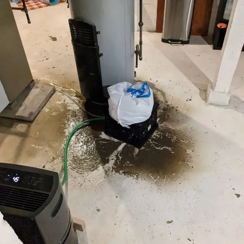 Sewage Backup Cleanup Service in Wadley, GA